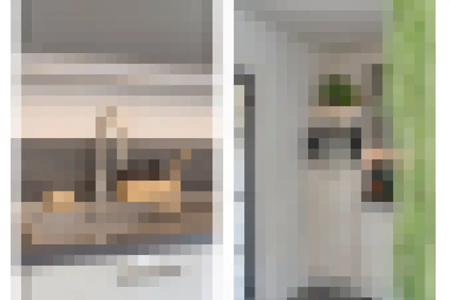 Hofstraat 15 Dalfsen thumbnail 15
