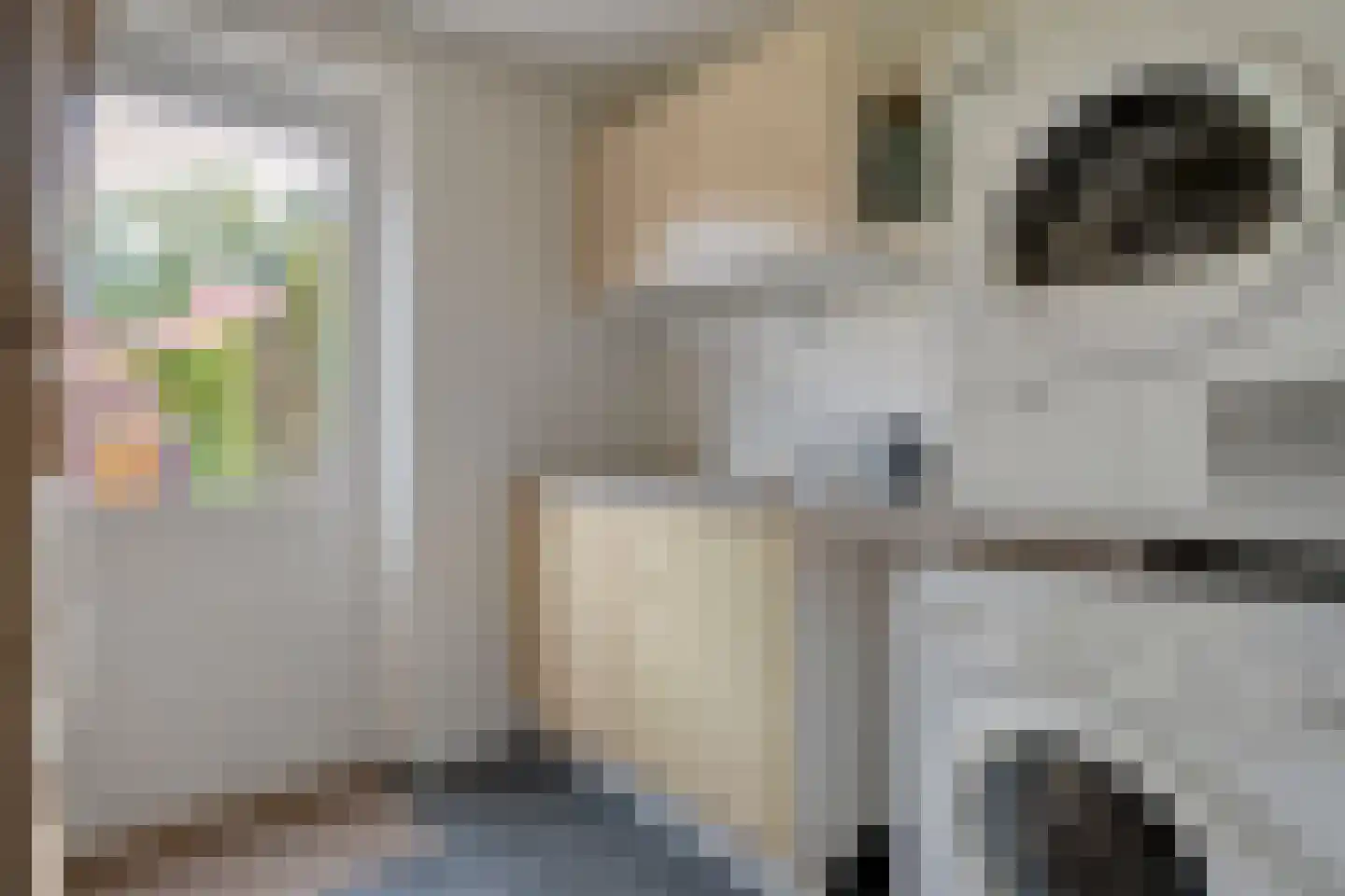 Hofstraat 15 Dalfsen thumbnail 18