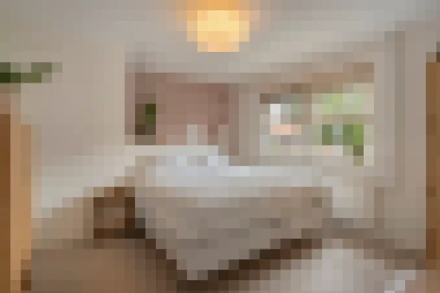 Hofstraat 15 Dalfsen thumbnail 21