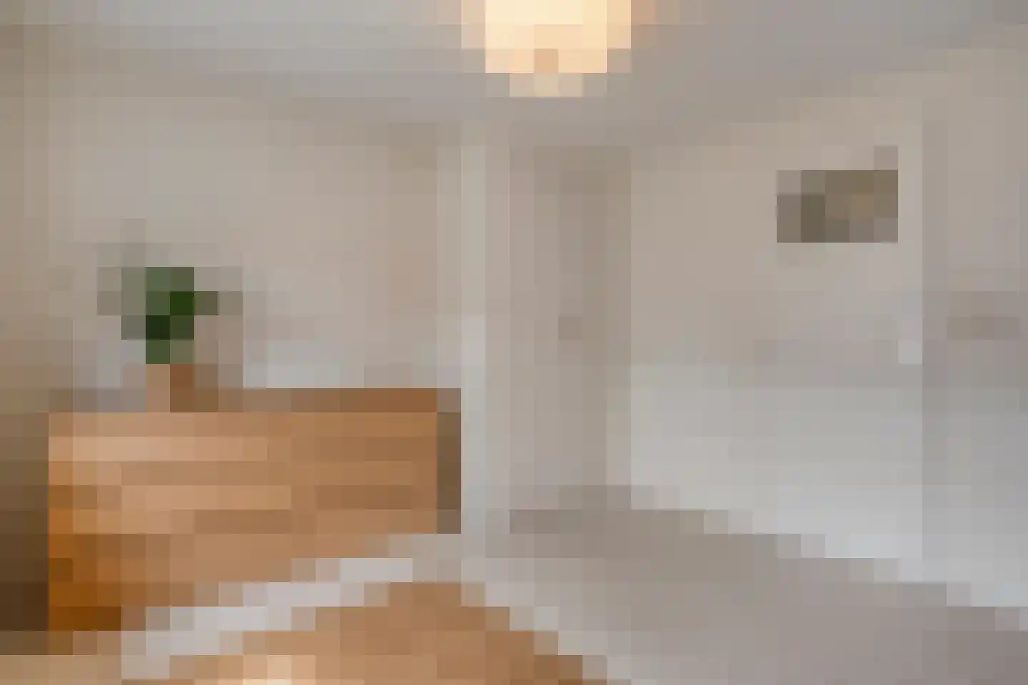 Hofstraat 15 Dalfsen thumbnail 24