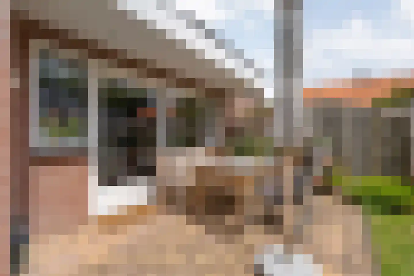 Hofstraat 15 Dalfsen thumbnail 29
