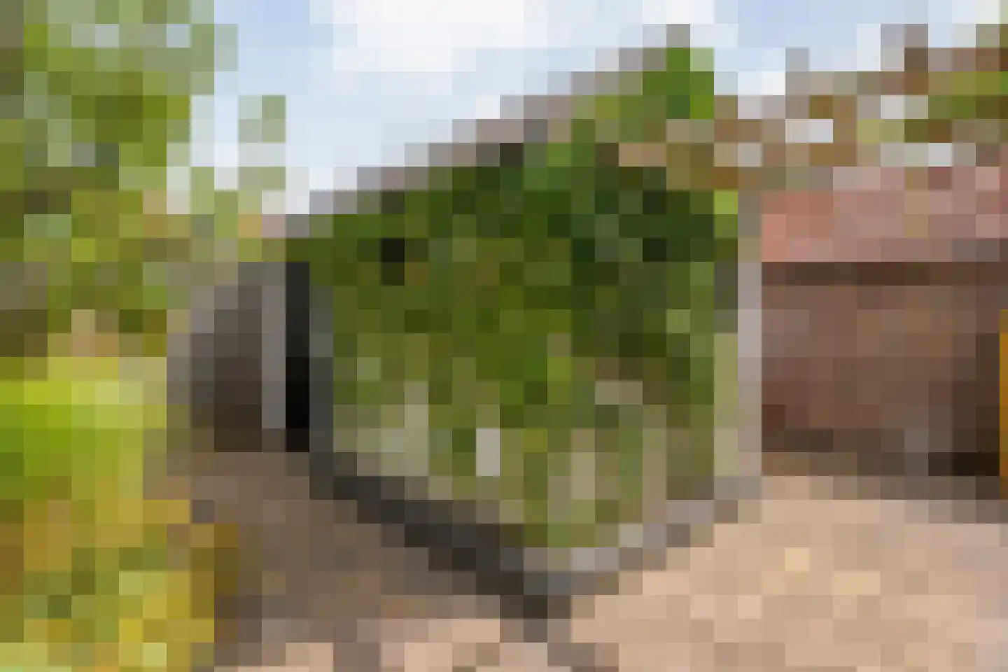 Hofstraat 15 Dalfsen thumbnail 32