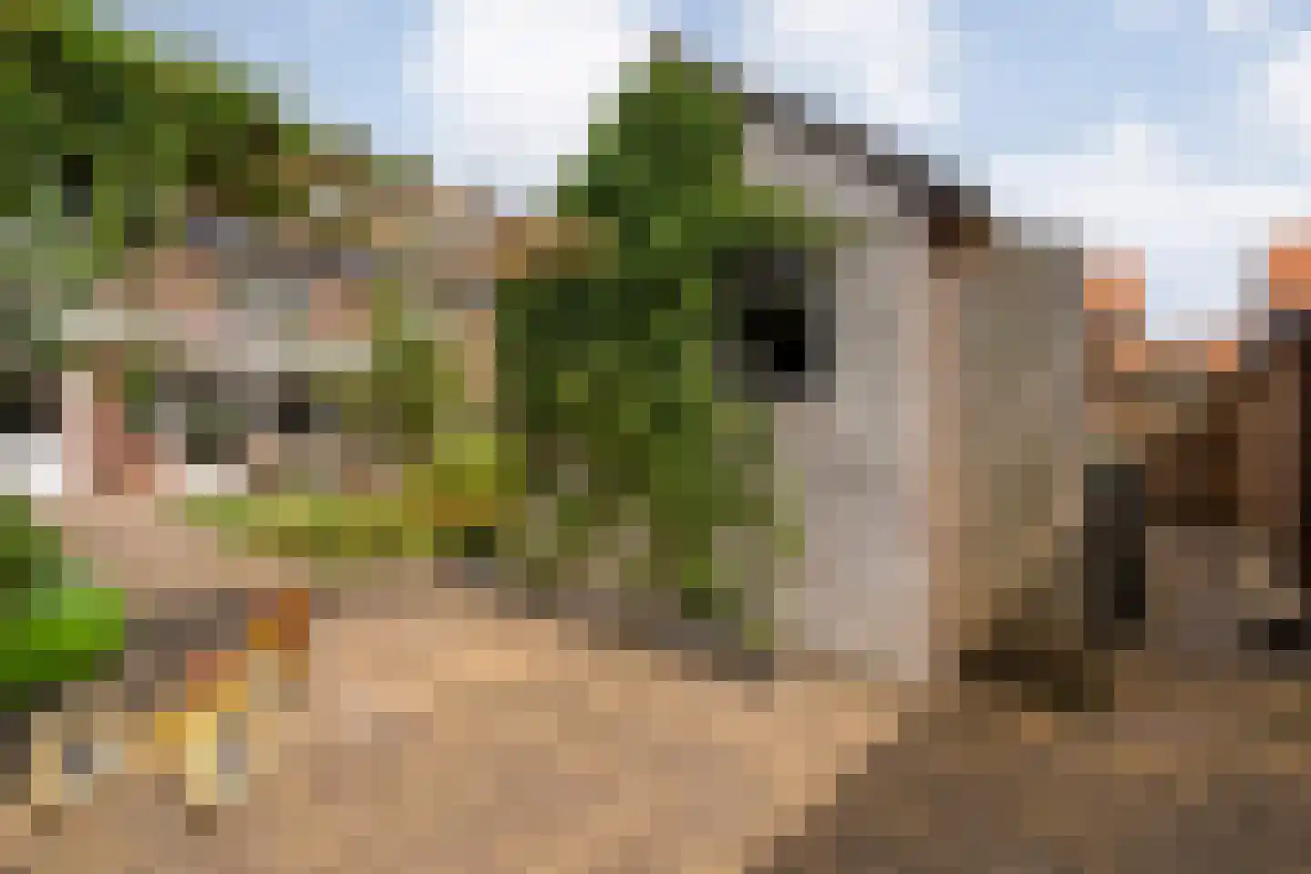 Hofstraat 15 Dalfsen thumbnail 33