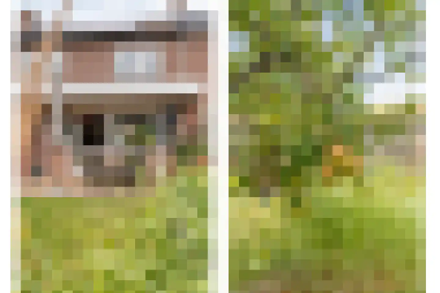 Hofstraat 15 Dalfsen thumbnail 35