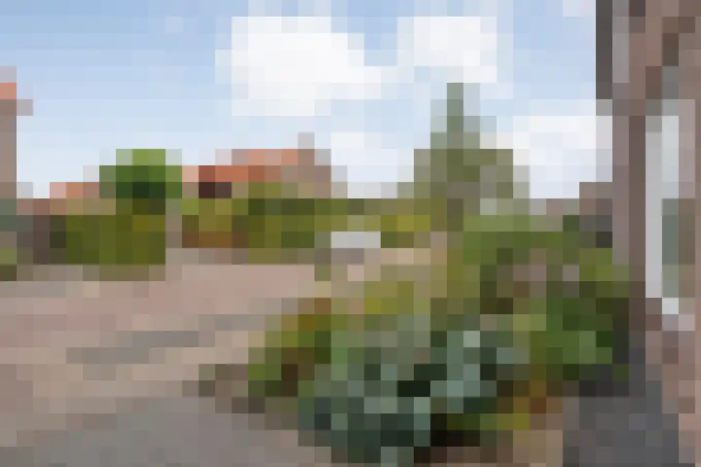 Hofstraat 15 Dalfsen thumbnail 40