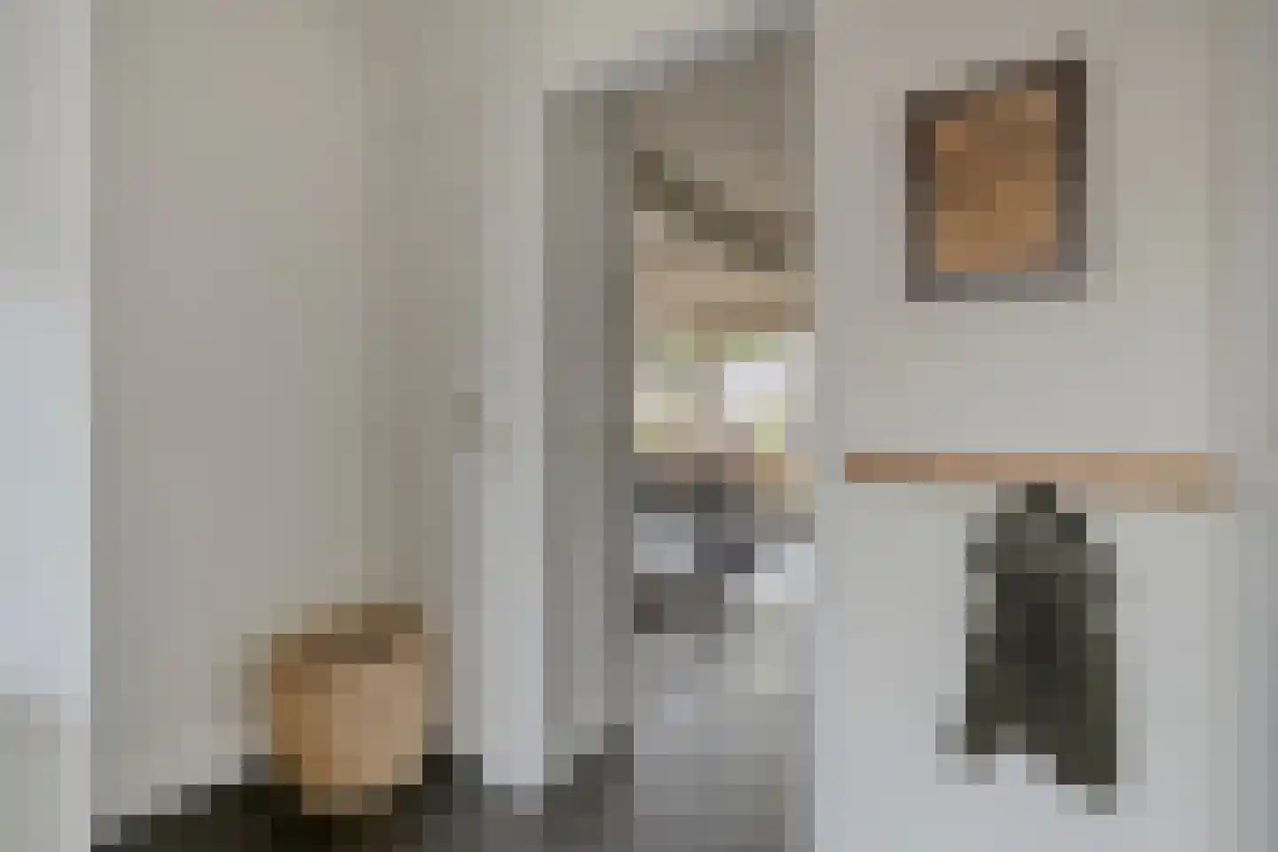 Hofstraat 15 Dalfsen thumbnail 6