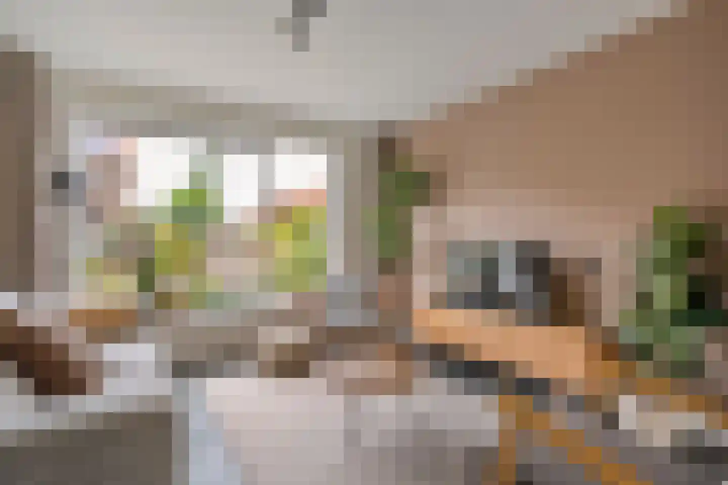 Hofstraat 15 Dalfsen thumbnail 7