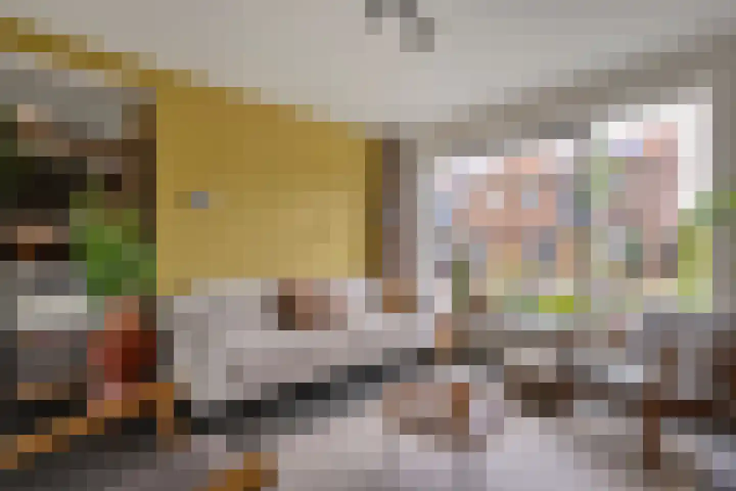 Hofstraat 15 Dalfsen thumbnail 8