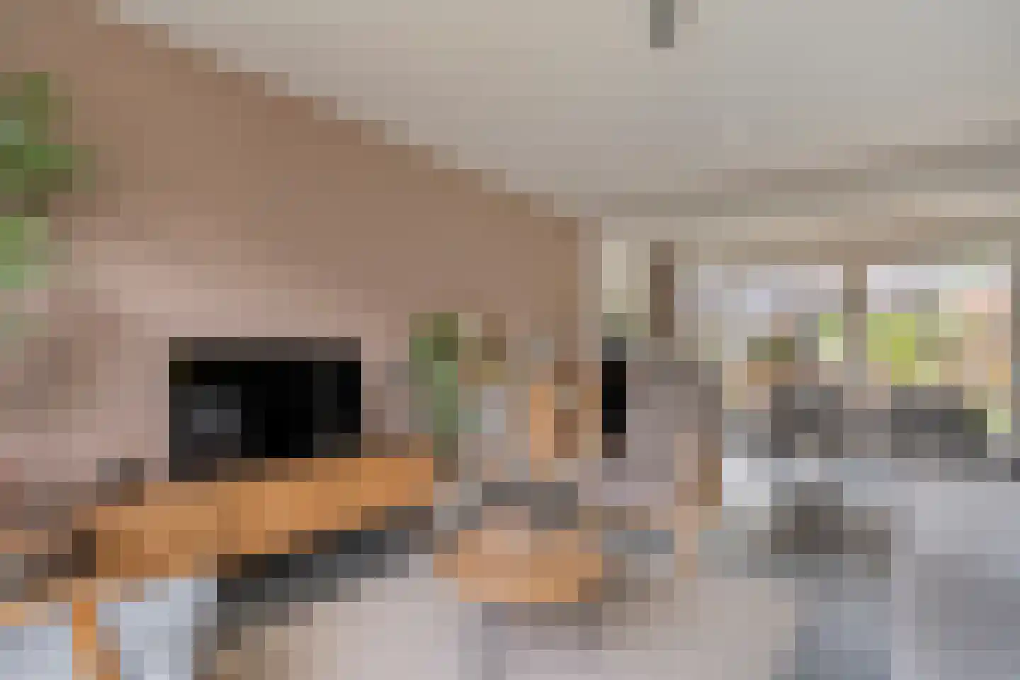 Hofstraat 15 Dalfsen thumbnail 9