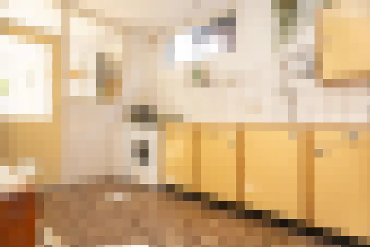 Hofstraat 15 Den Oever thumbnail 10