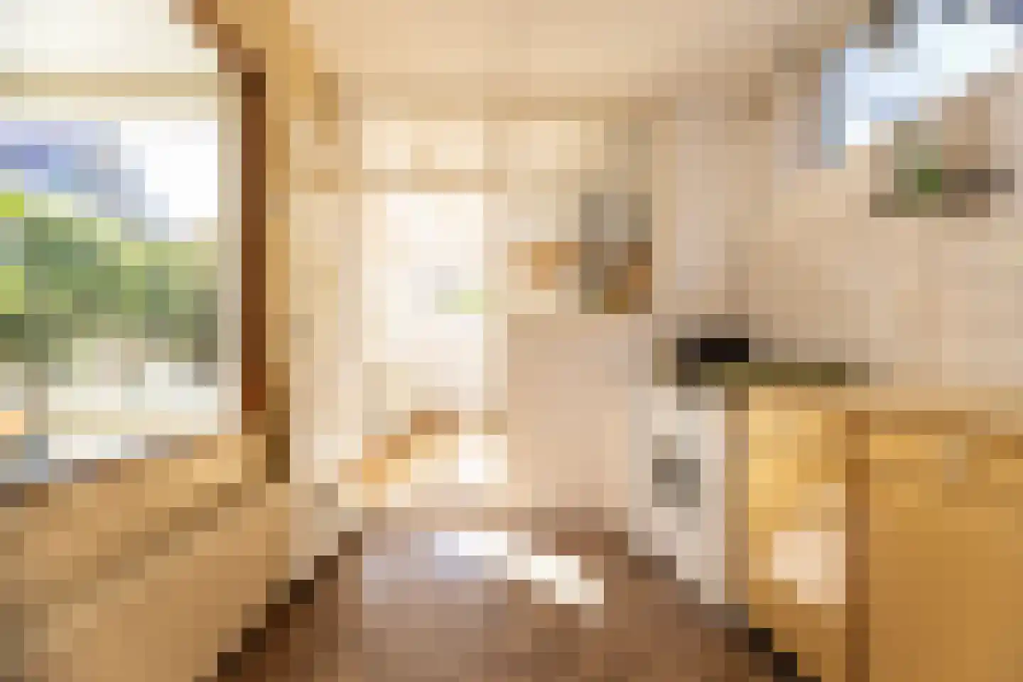 Hofstraat 15 Den Oever thumbnail 12
