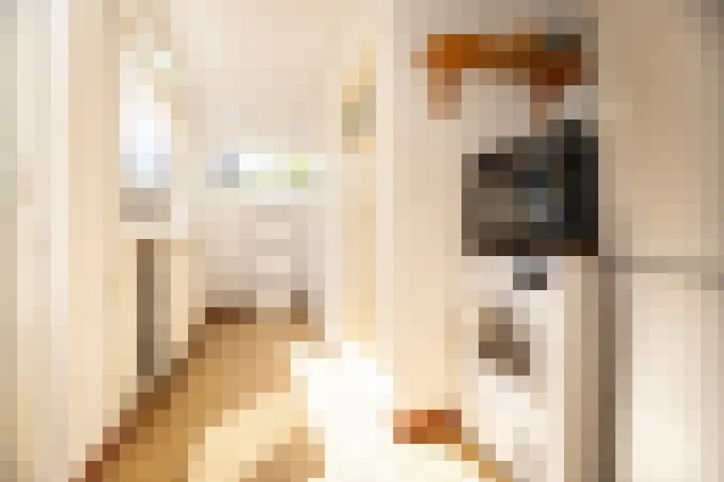 Hofstraat 15 Den Oever thumbnail 13