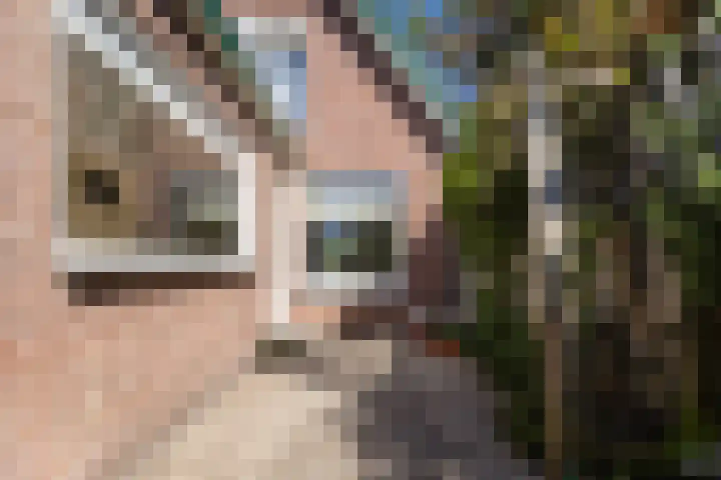 Hofstraat 15 Den Oever thumbnail 24