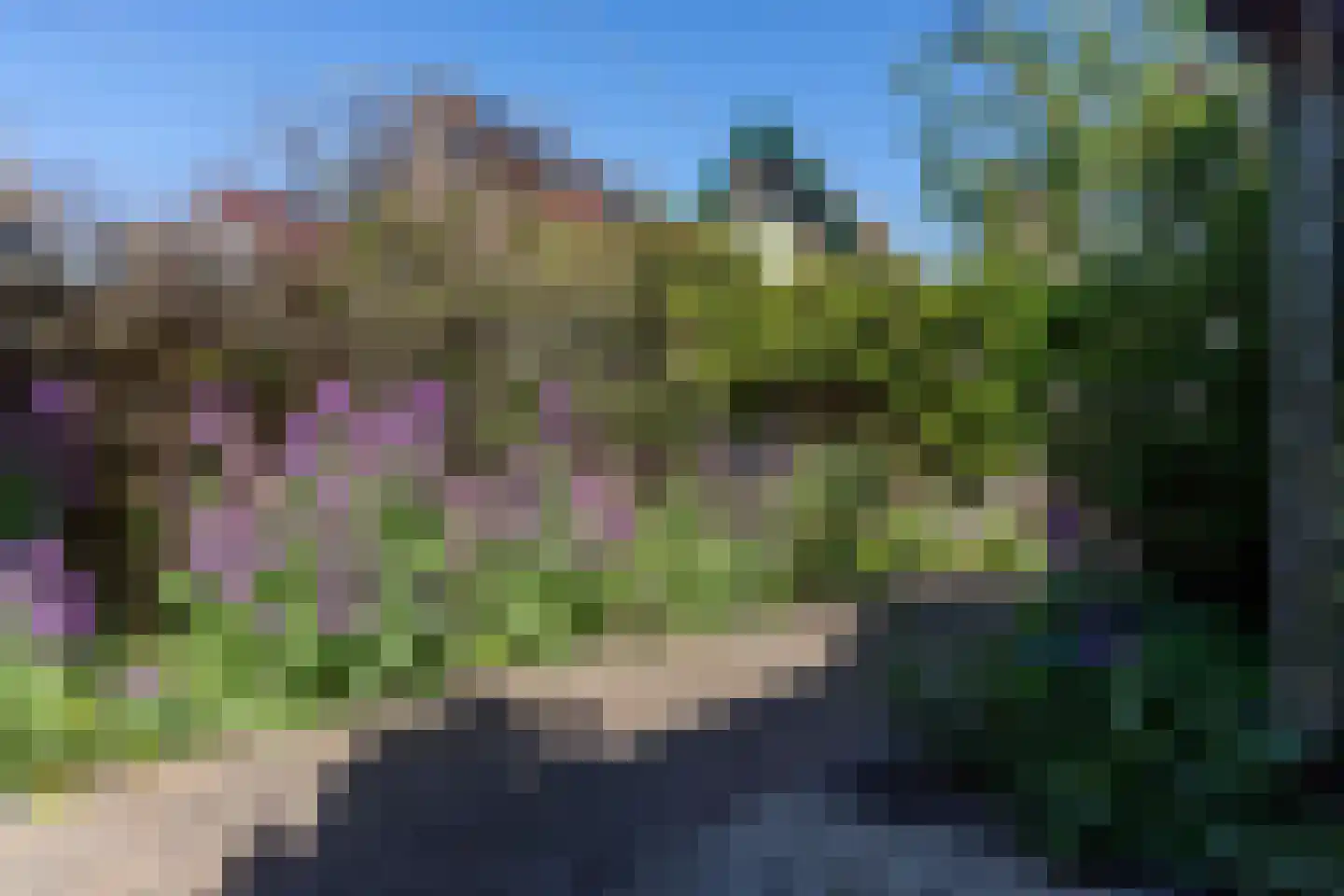 Hofstraat 15 Den Oever thumbnail 25