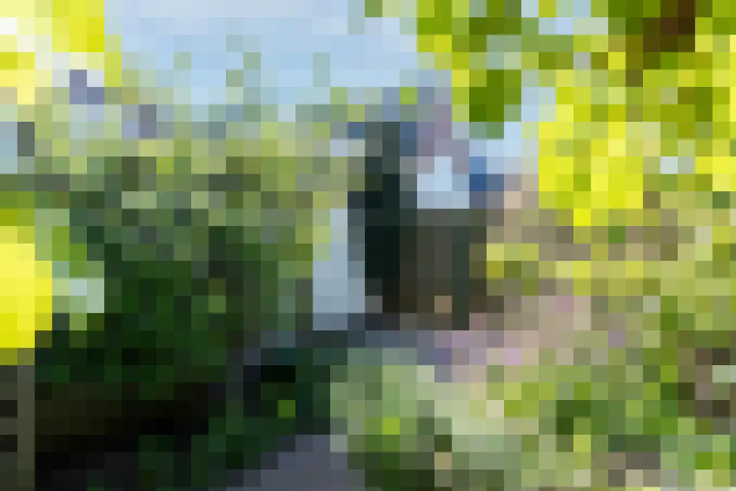 Hofstraat 15 Den Oever thumbnail 26