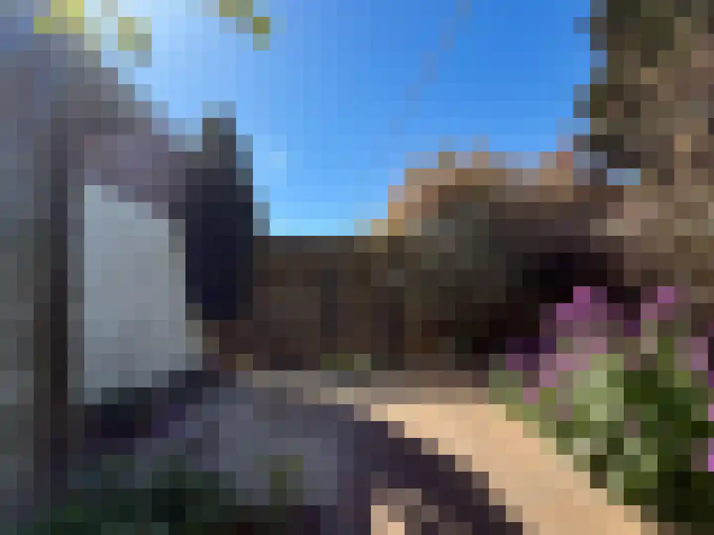 Hofstraat 15 Den Oever thumbnail 28