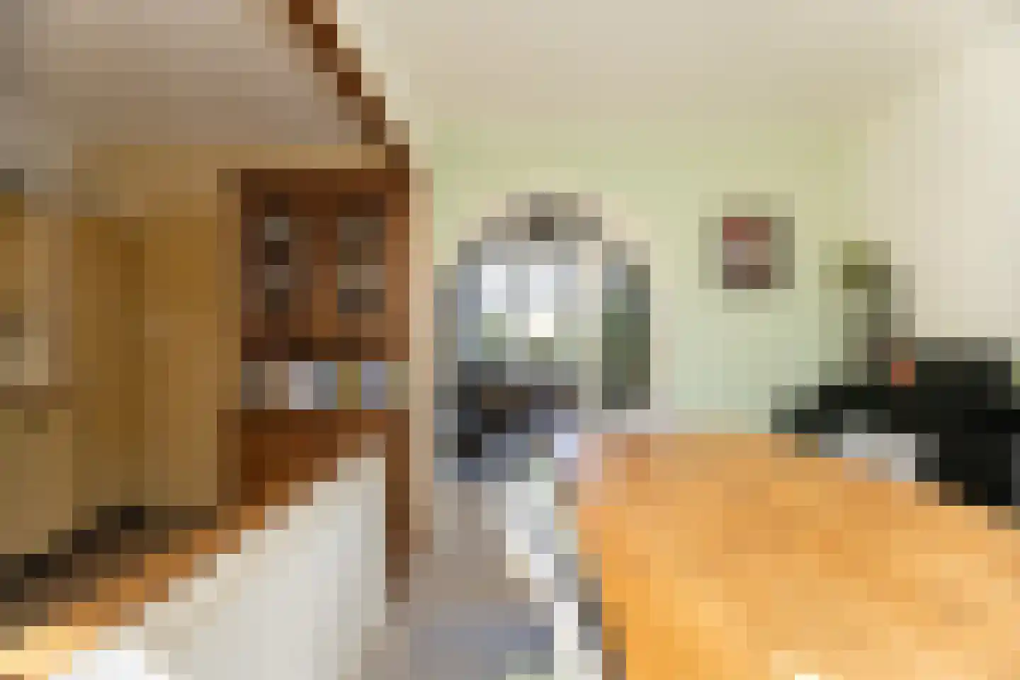 Hofstraat 15 Den Oever thumbnail 8