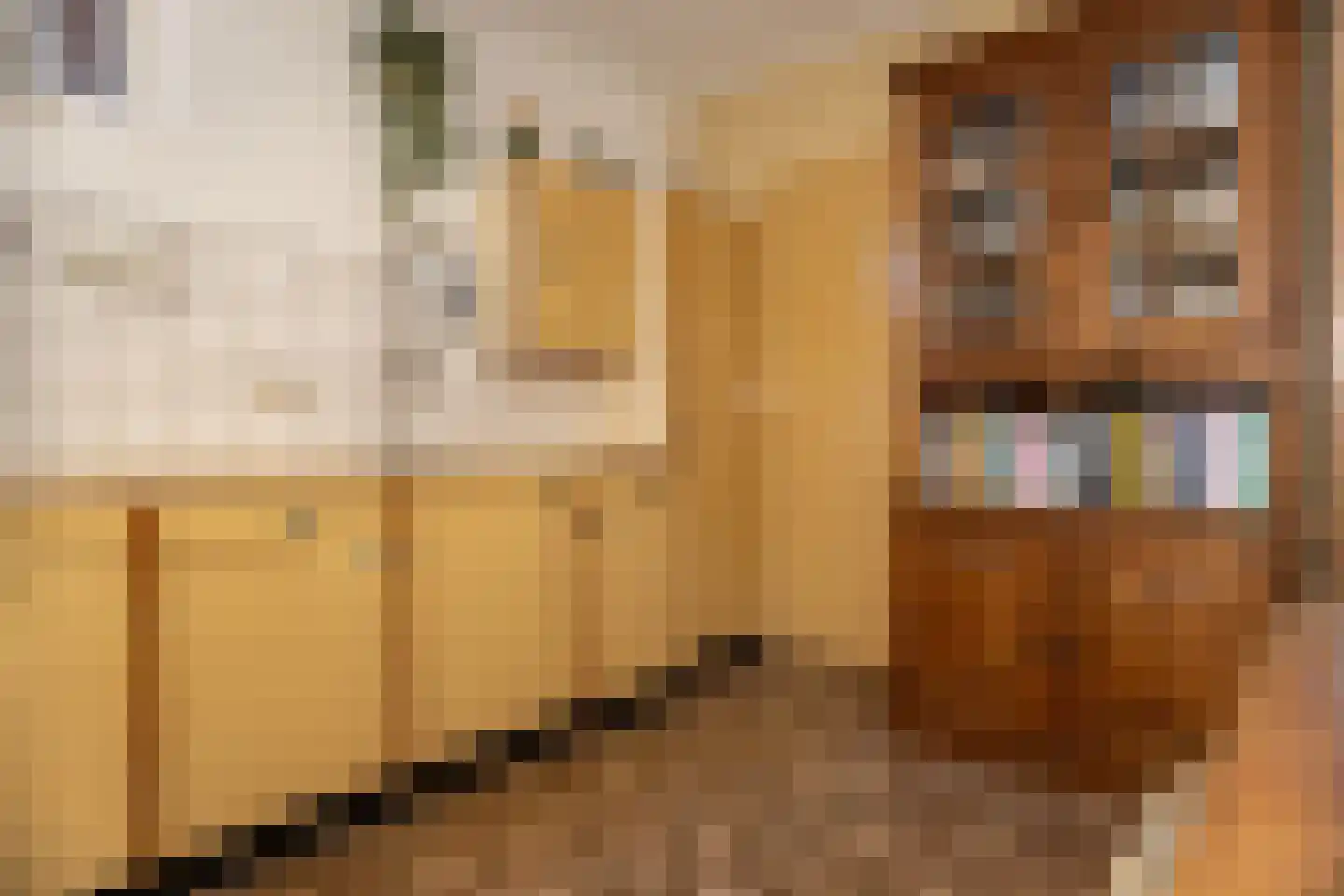 Hofstraat 15 Den Oever thumbnail 9