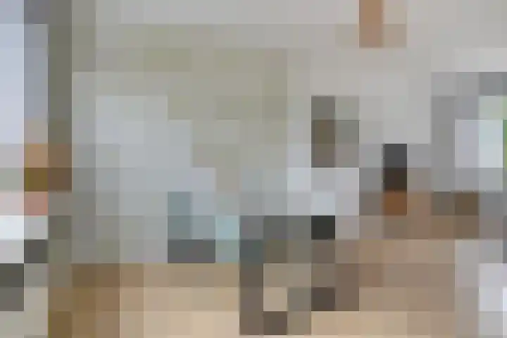 Hofstraat 151 Eindhoven thumbnail 11