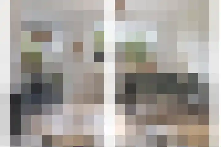 Hofstraat 151 Eindhoven thumbnail 12