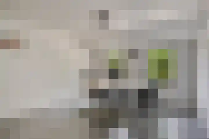 Hofstraat 151 Eindhoven thumbnail 25