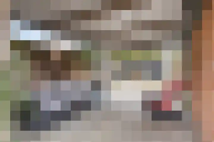 Hofstraat 151 Eindhoven thumbnail 27