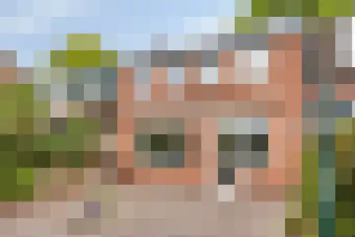 Hofstraat 151 Eindhoven thumbnail 28