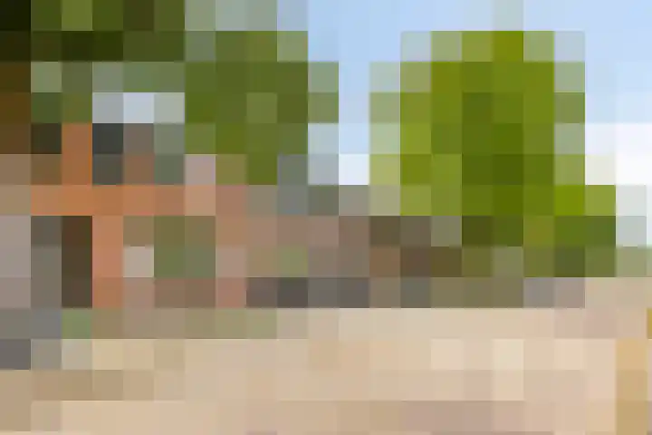Hofstraat 151 Eindhoven thumbnail 31