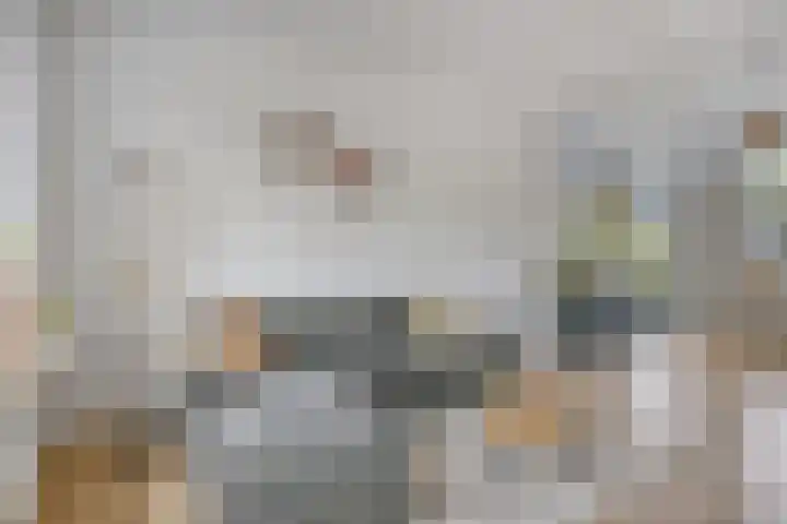 Hofstraat 151 Eindhoven thumbnail 8