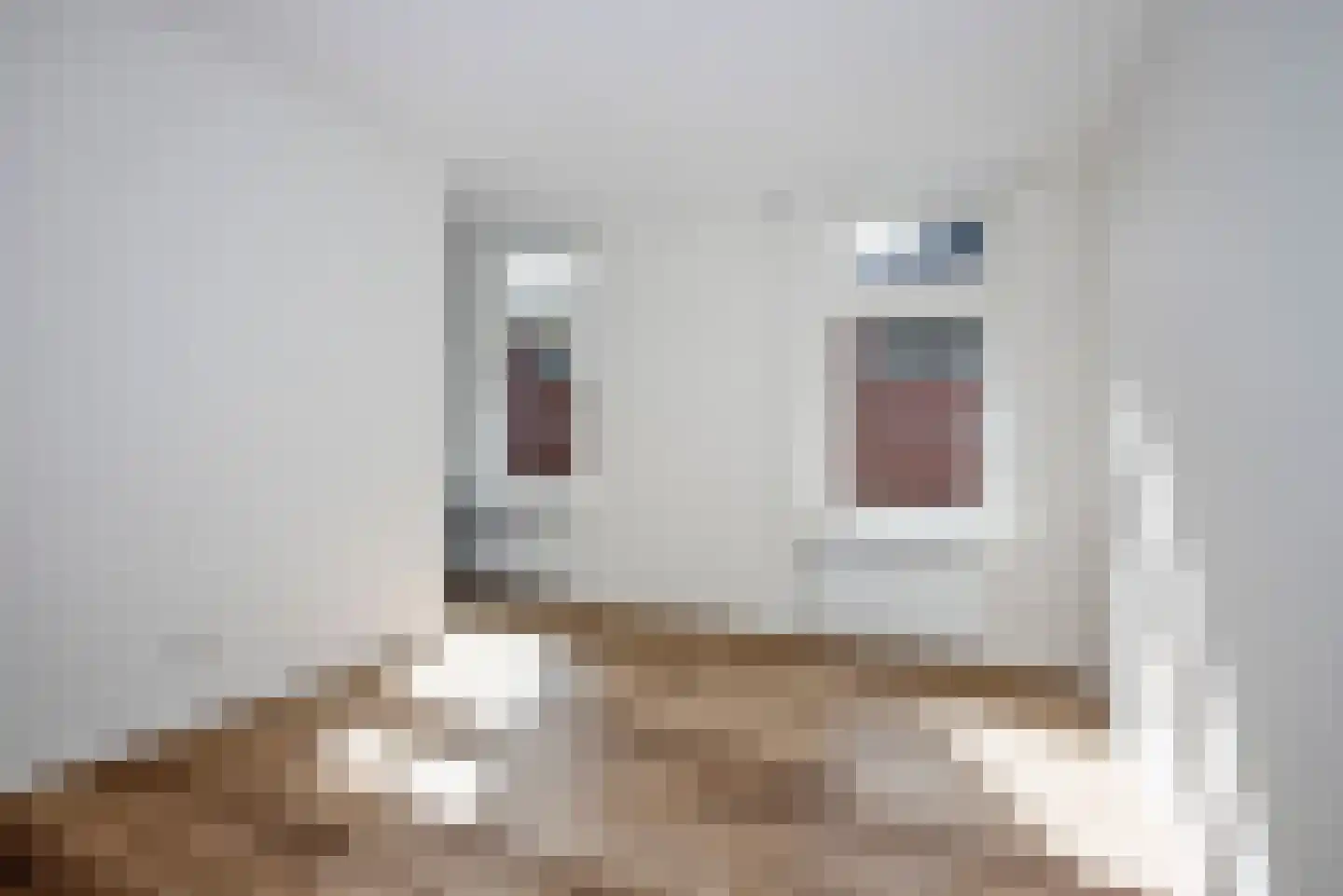 Hofstraat 16 b Borne thumbnail 16
