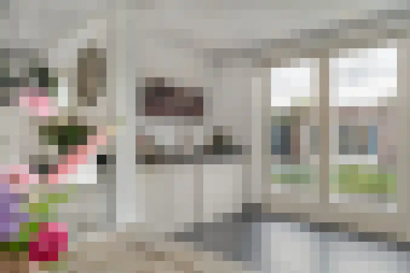 Hofstraat 16 Den Dungen thumbnail 12