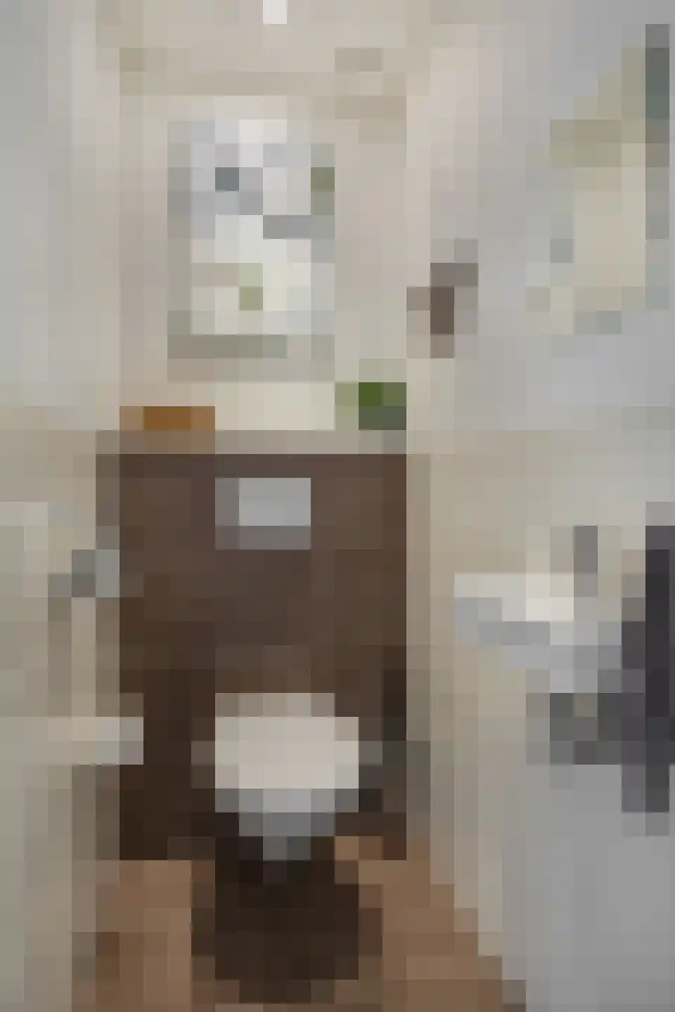 Hofstraat 16 Den Dungen thumbnail 15