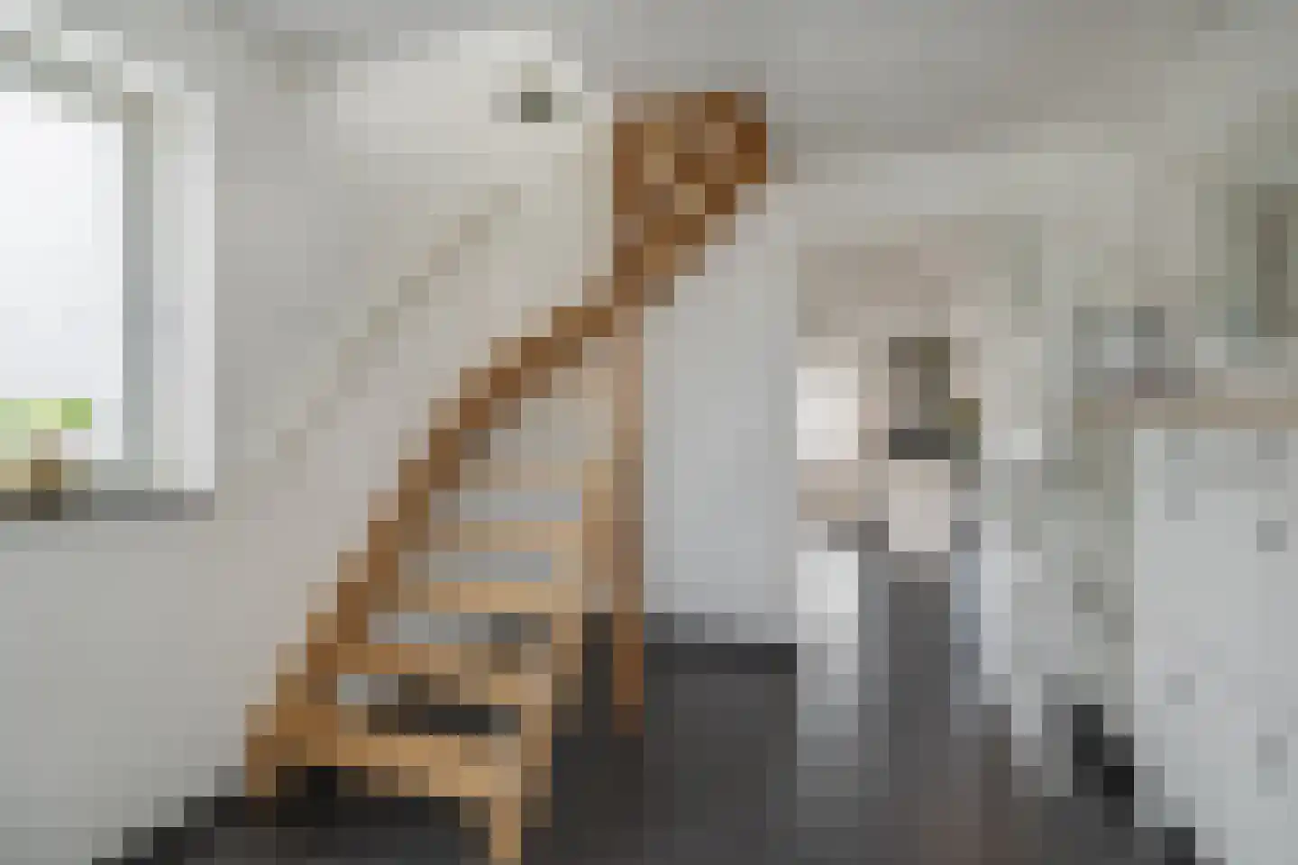 Hofstraat 16 Den Dungen thumbnail 16