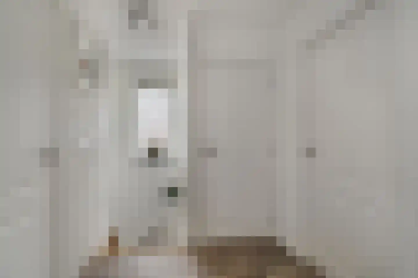 Hofstraat 16 Den Dungen thumbnail 18