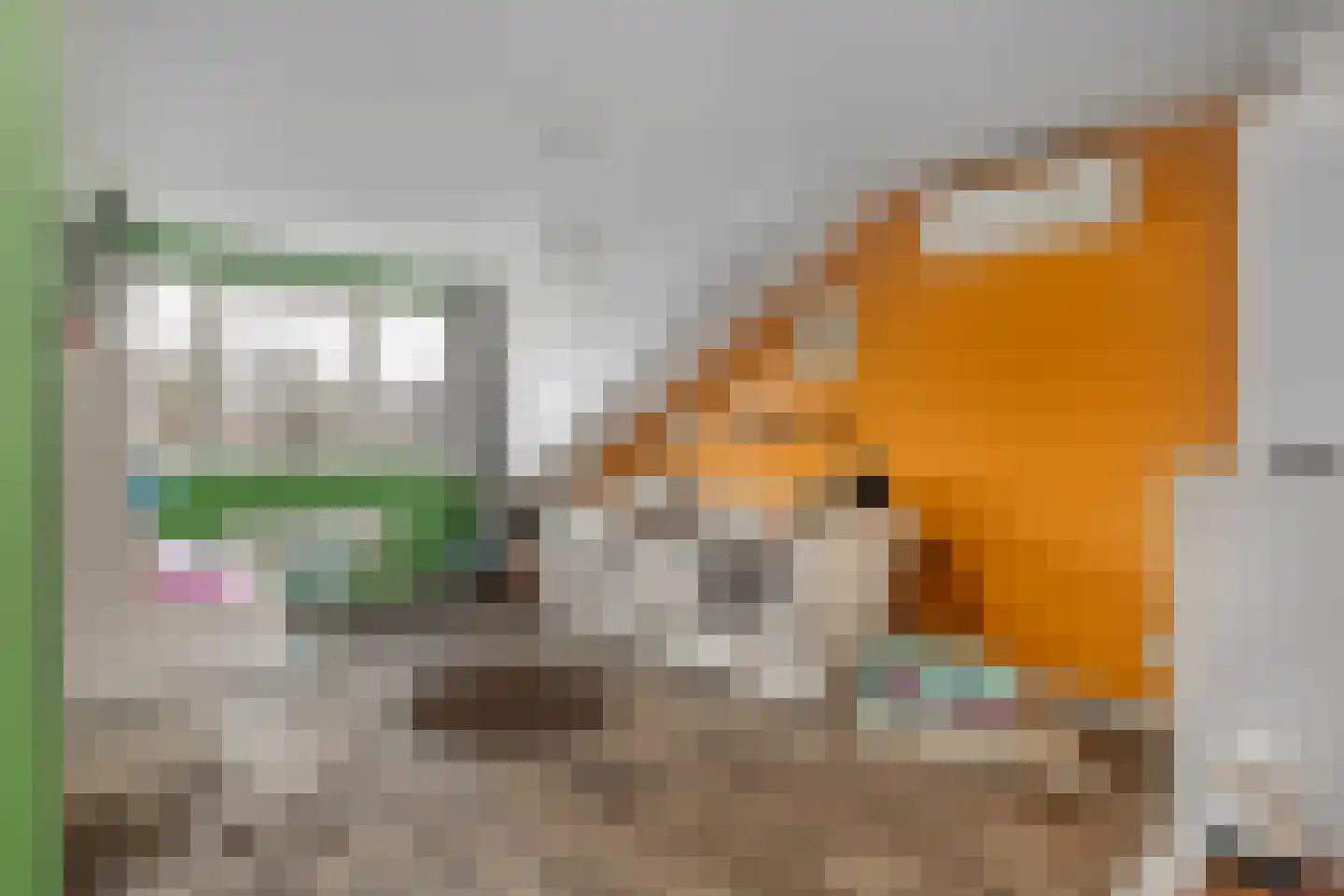 Hofstraat 16 Den Dungen thumbnail 20