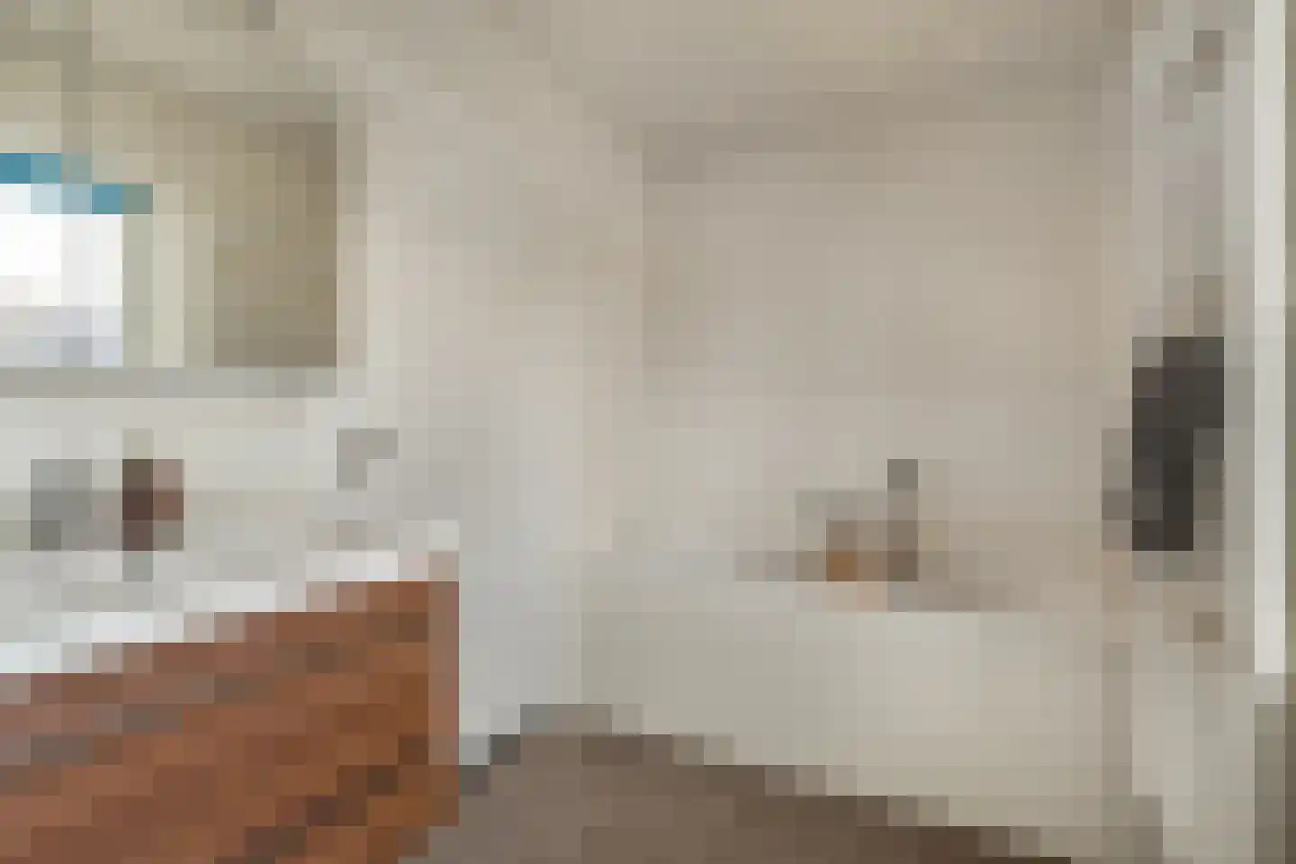Hofstraat 16 Den Dungen thumbnail 22