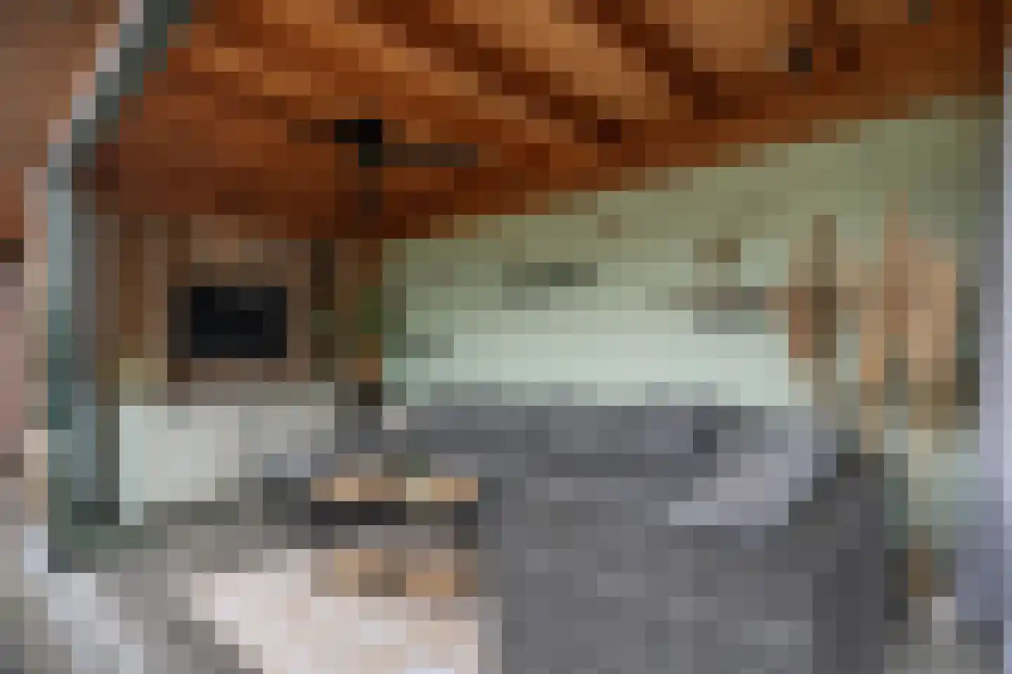 Hofstraat 16 Den Dungen thumbnail 4