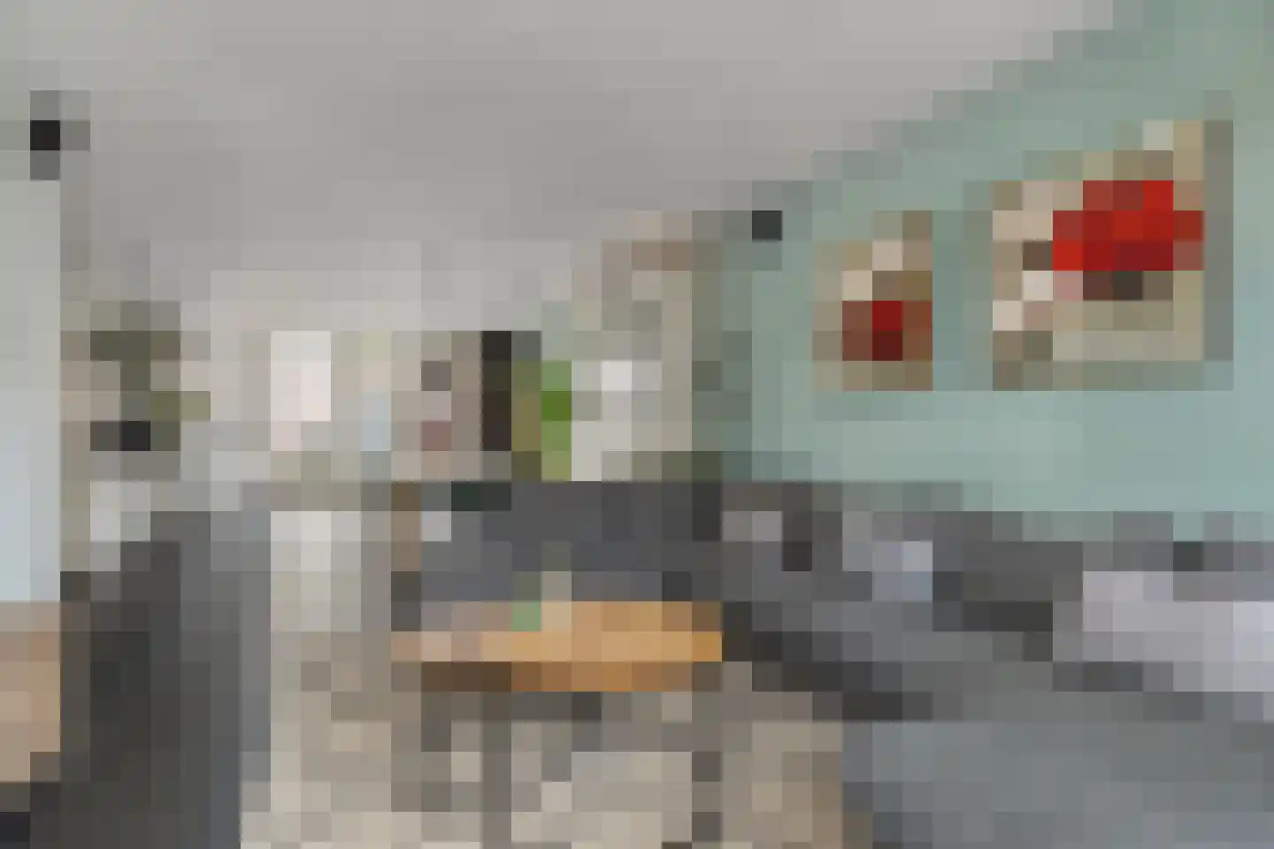Hofstraat 16 Den Dungen thumbnail 5