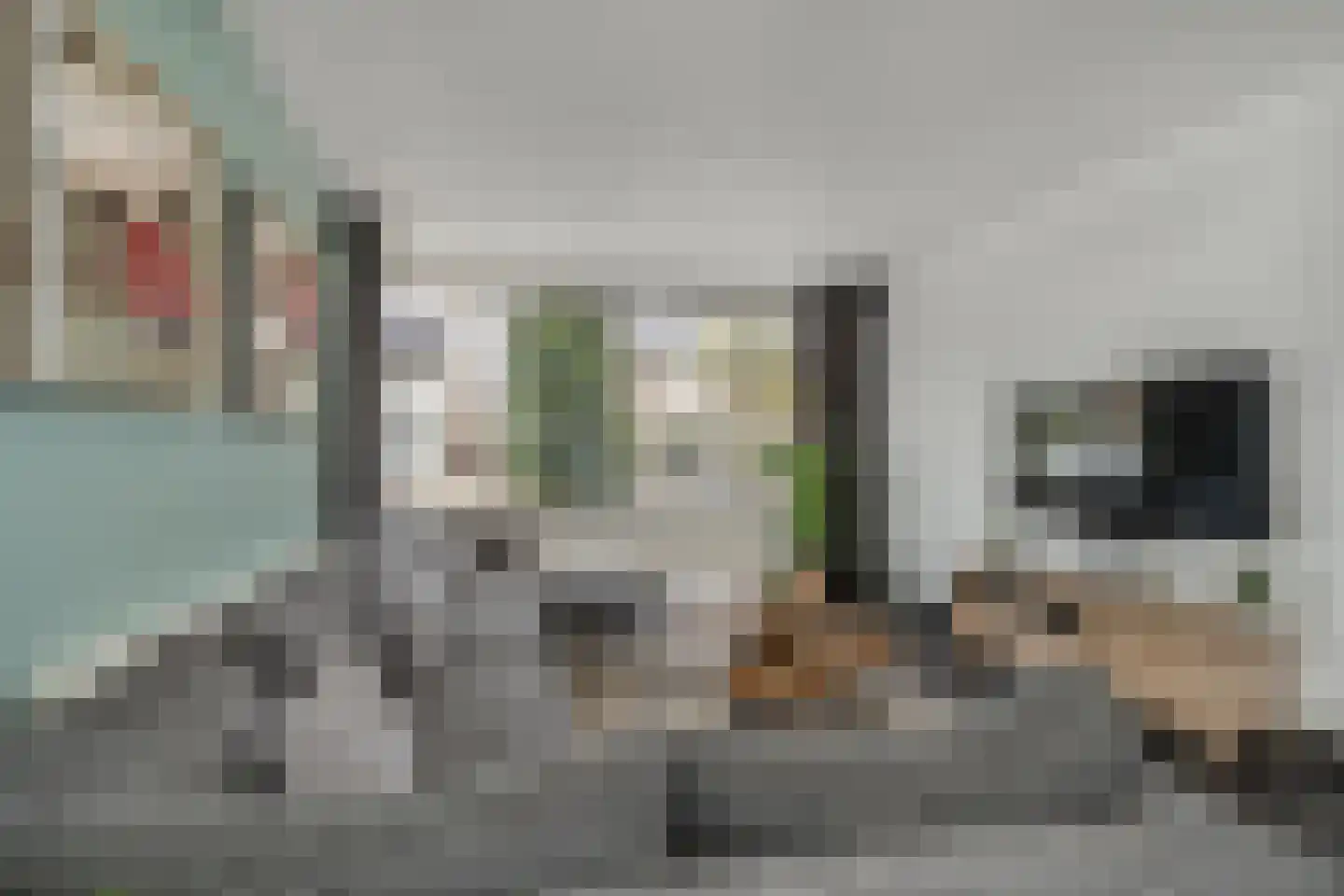 Hofstraat 16 Den Dungen thumbnail 7
