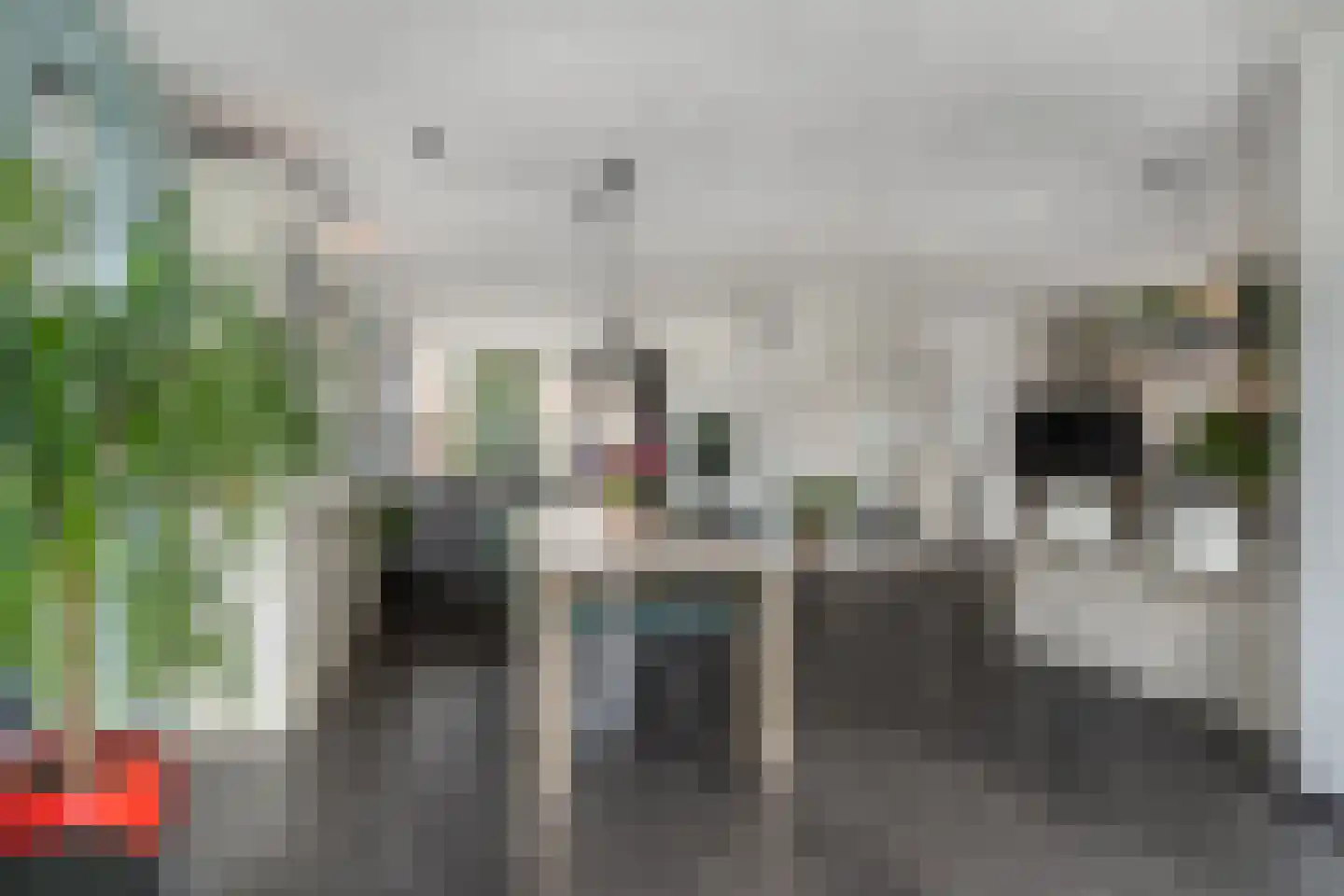 Hofstraat 16 Den Dungen thumbnail 9