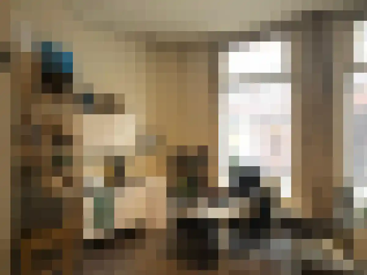 Hofstraat 16 Groningen thumbnail 4