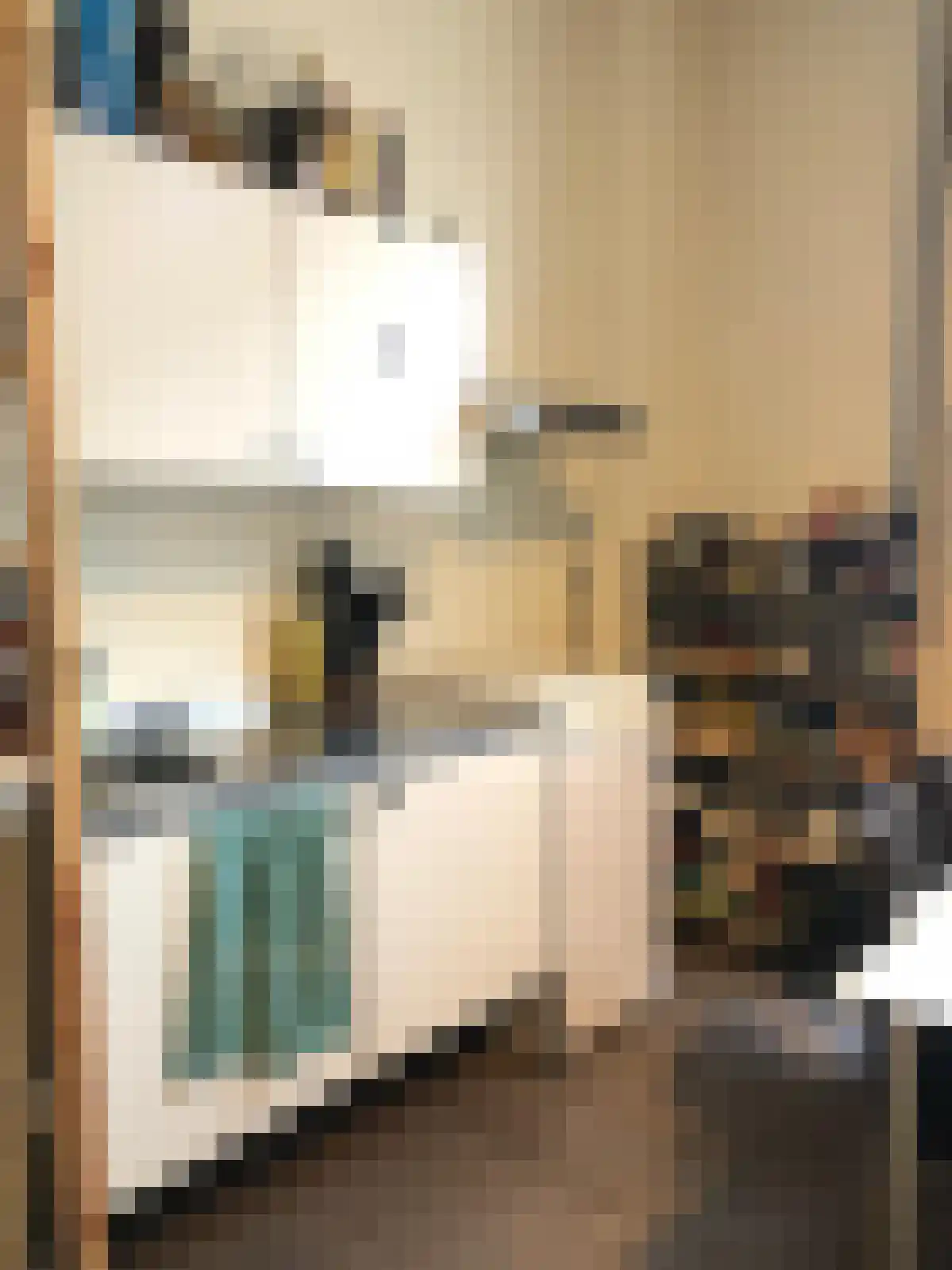 Hofstraat 16 Groningen thumbnail 5
