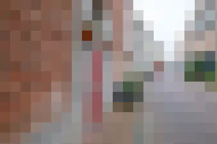 Hofstraat 16 Kampen thumbnail 42