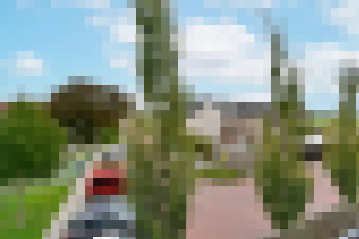 Hofstraat 16 Zevenhoven thumbnail 28