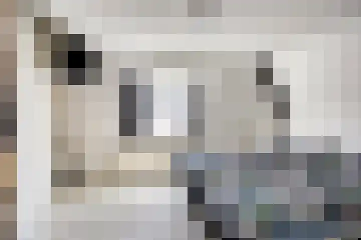 Hofstraat 17 Kampen thumbnail 5