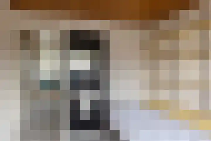 Hofstraat 18 Beltrum thumbnail 33