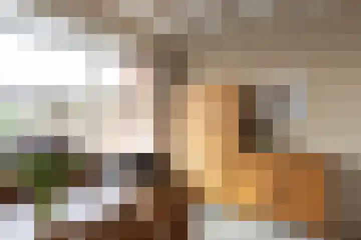 Hofstraat 18 Beltrum thumbnail 5