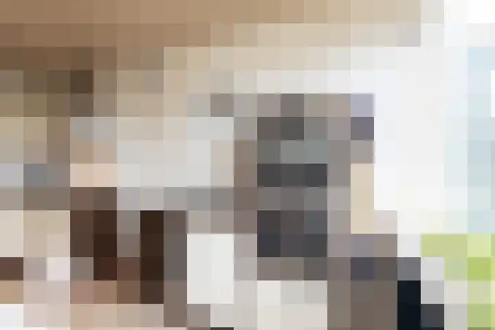 Hofstraat 18 Beltrum thumbnail 8