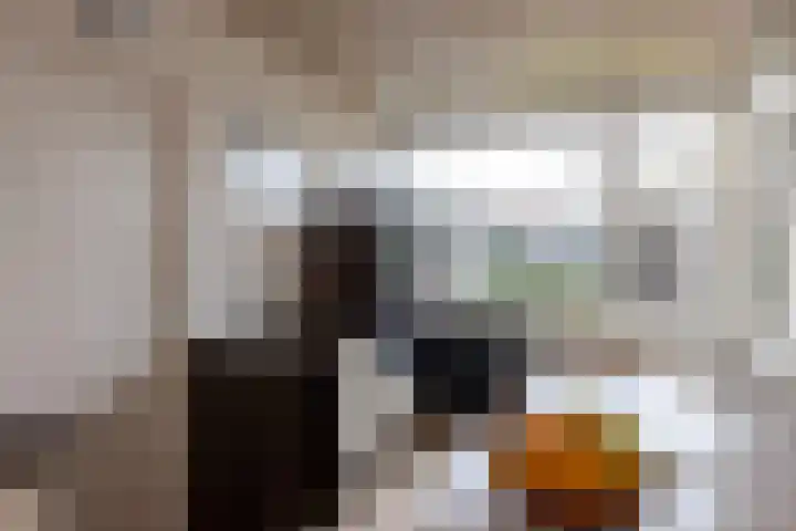 Hofstraat 18 Beltrum thumbnail 9