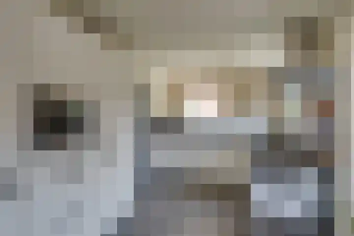 Hofstraat 18 Borculo thumbnail 5